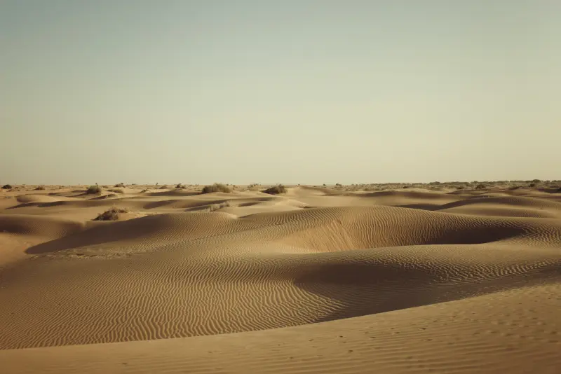 Jaisalmer tours and cultural experiences