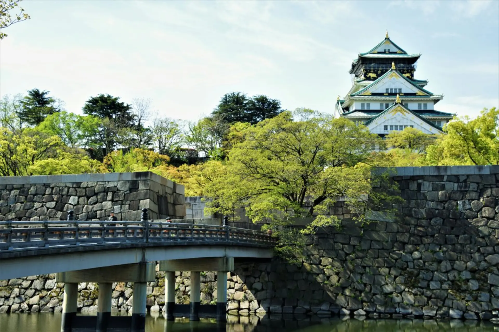 Osaka tours and cultural experiences
